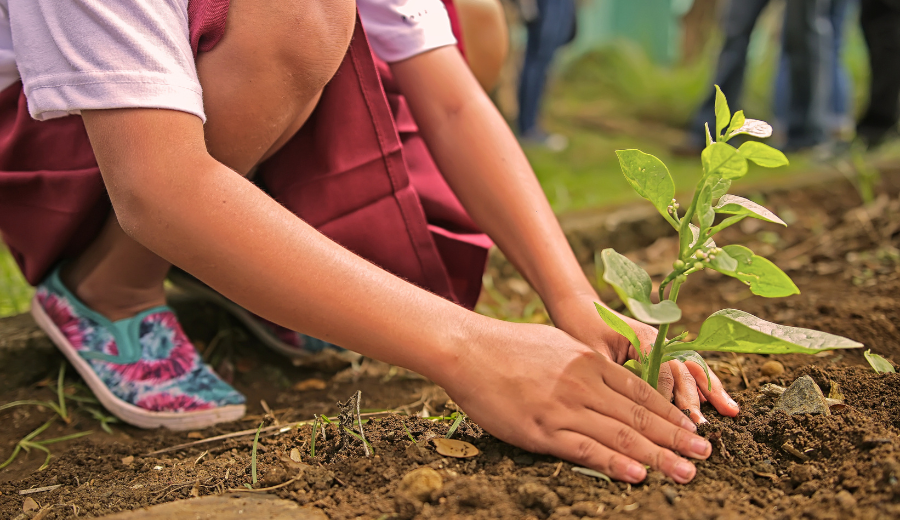 4 SIMPLE CHANGES STUDENTS CAN MAKE IN THEIR DAILY LIVES TO SAVE THE ENVIRONMENT. 
