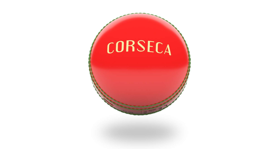 REVIEW OF CORSECA ORB CRICKET BALL DMSC33 WIRELESS BLUETOOTH SPEAKER