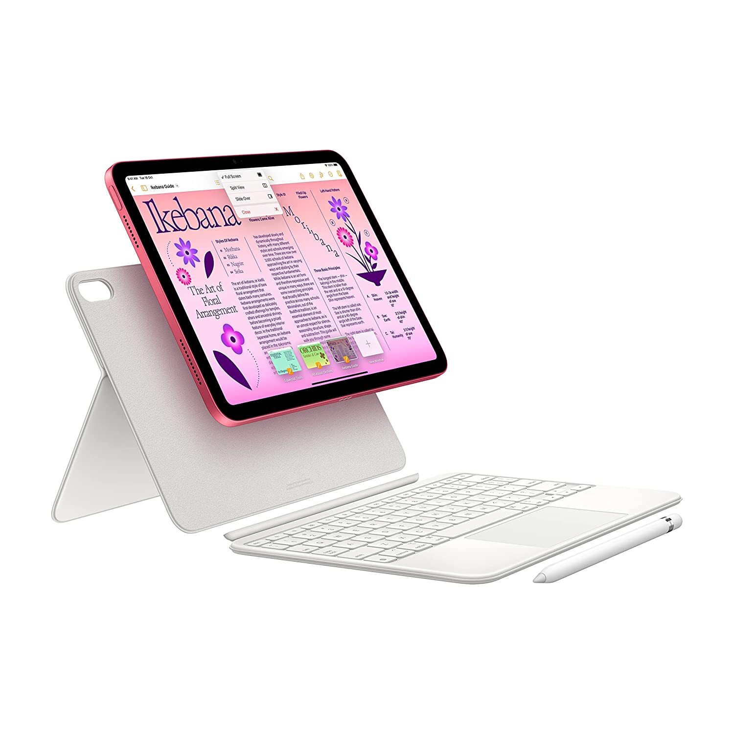 Apple 2022 10.9-inch iPad (Wi-Fi + Cellular, 256GB) - Silver (10th Generation)
