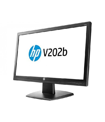 HP V202b 49.53 cm (19.5) Monitor
