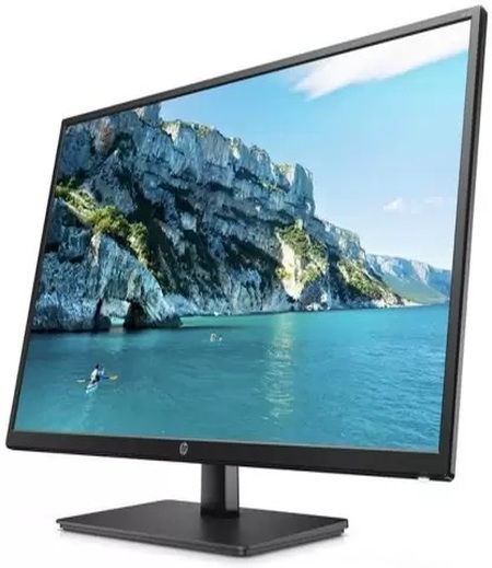 HP V202b 49.53 cm (19.5) Monitor